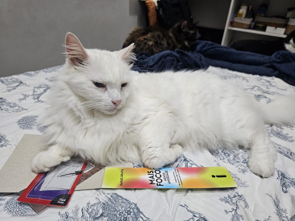 Chico, gato branco de pelo longo, adulto e saudável, deitado sobre a cama
